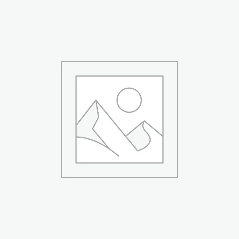 Set of 2 Arty Mosaic Coasters | 2 of Renoir