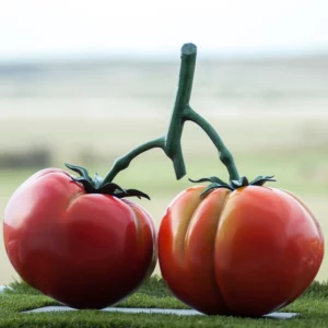 Tomato Duo Sculpture