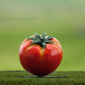 Little Tomato Sculpture