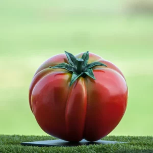 Big Tomato Sculpture