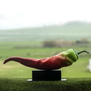 Peppers on Box Sculpture