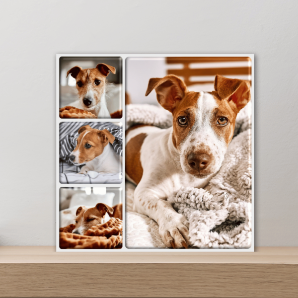 Personalized Mosaic Coasters & Collectibles