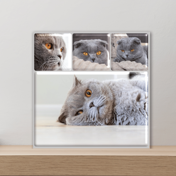 Personalized Mosaic Collectibles & Coasters